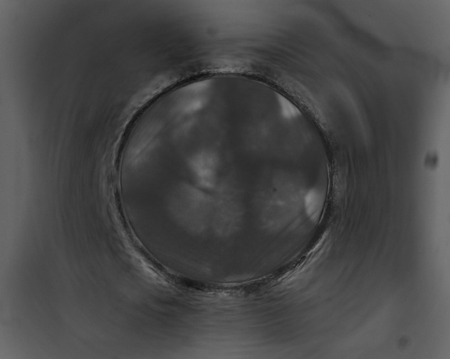 X0000101140721200807181254