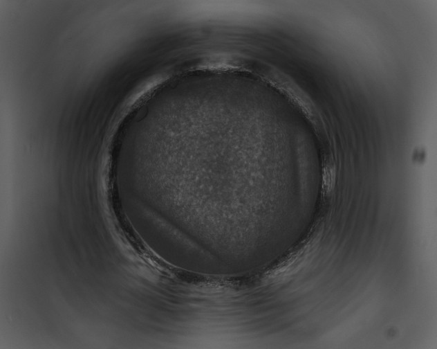 X0000101140724200807181254