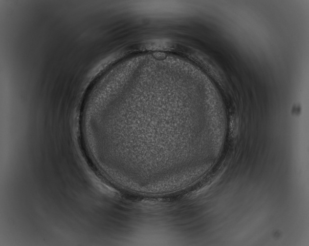 X0000101140725200807181254