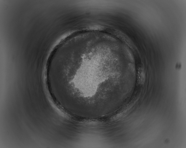 X0000101140726200807181254