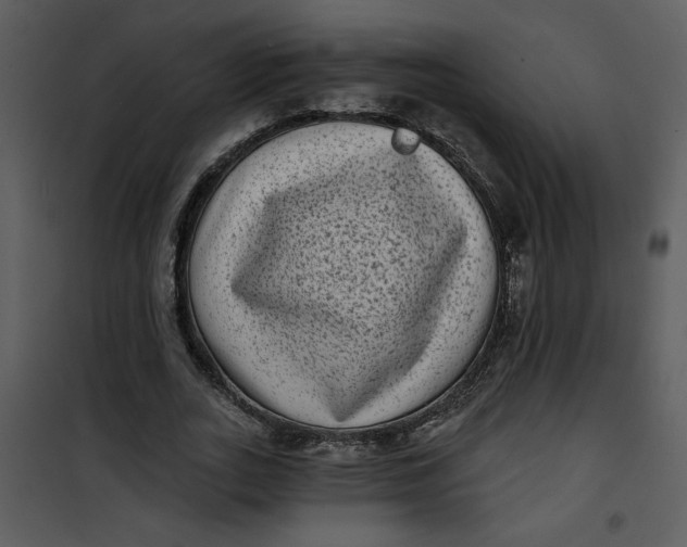 X0000101140727200807181254