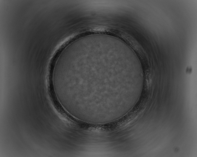 X0000101140728200807181254