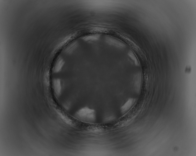 X0000101140729200807181254