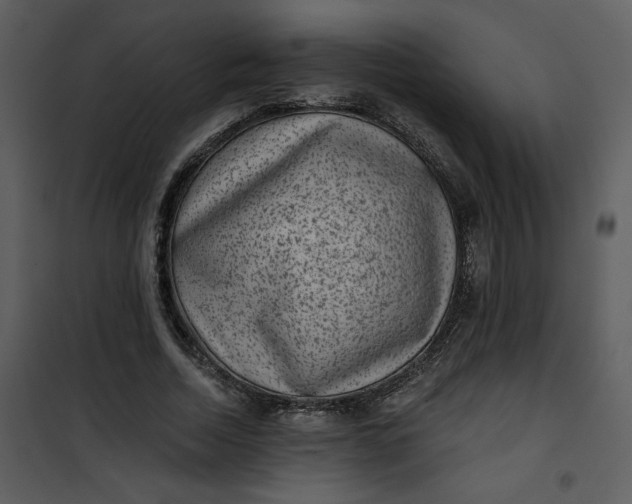 X0000101140730200807181254