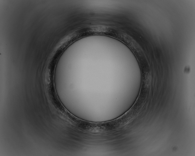 X0000101140731200807181254