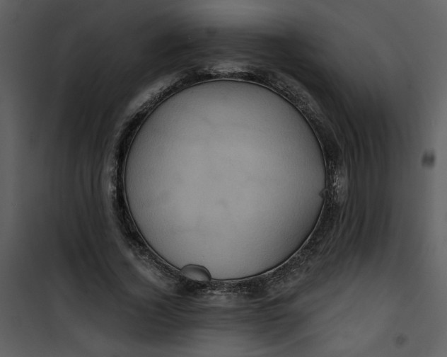 X0000101140732200807181254