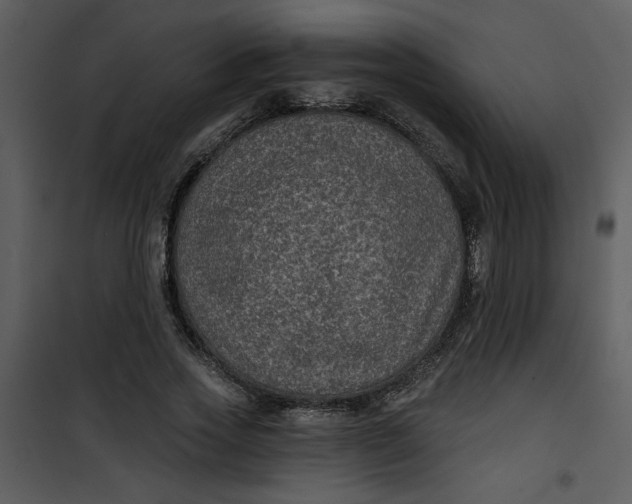 X0000101140733200807181254