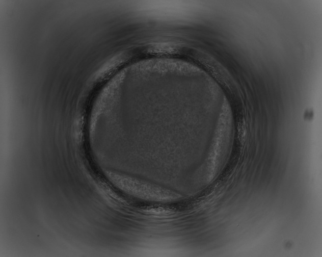 X0000101140735200807181254