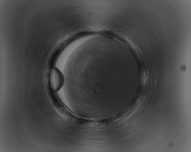 X0000101140736200807181254