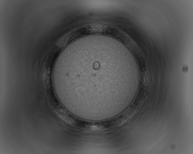 X0000101140737200807181254