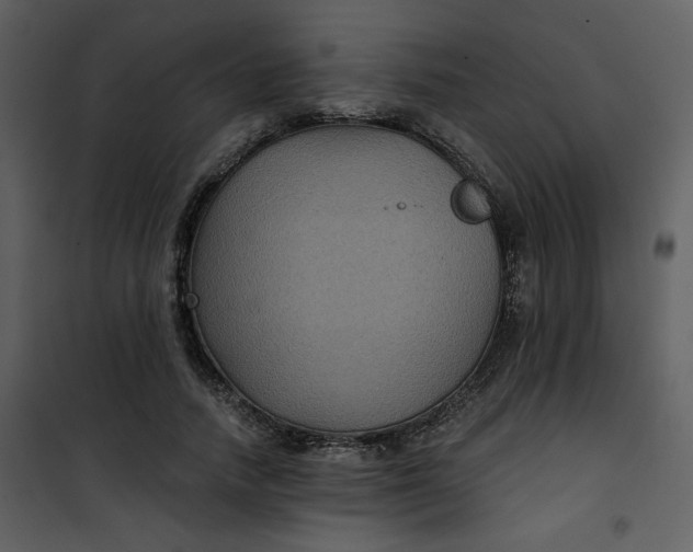 X0000101140738200807181254