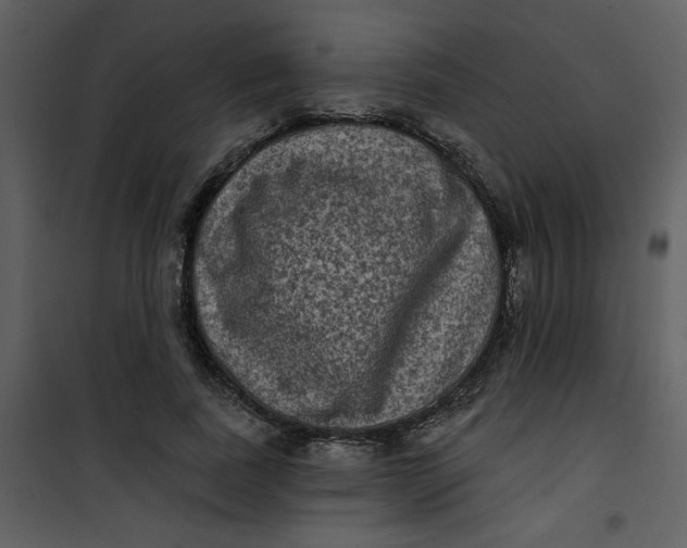 X0000101140739200807181254