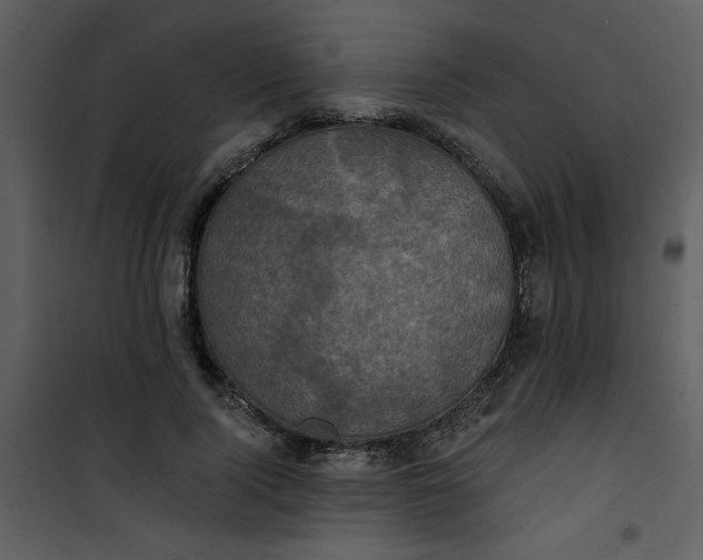 X0000101140740200807181254