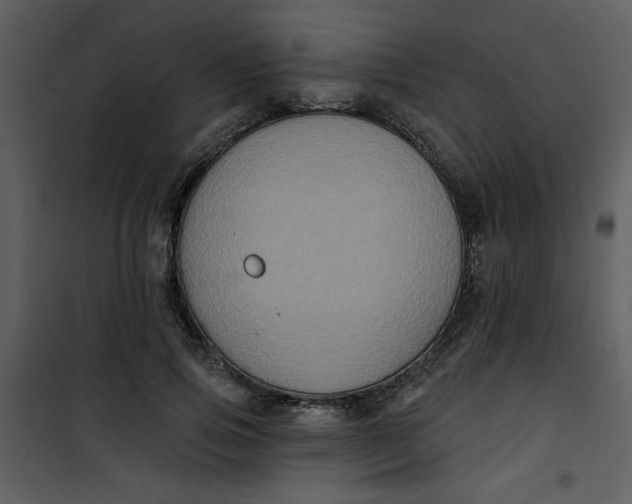 X0000101140741200807181254