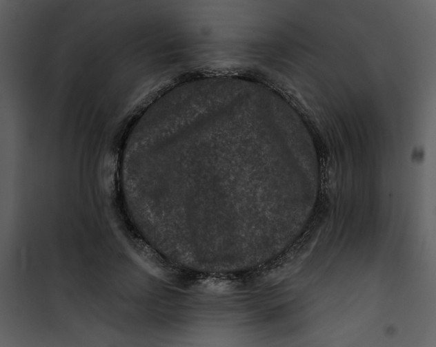 X0000101140742200807181254