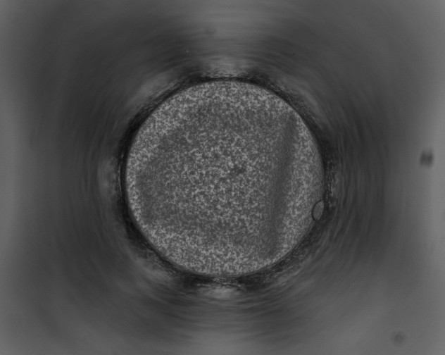 X0000101140743200807181254