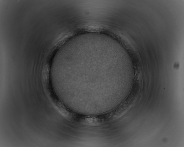 X0000101140744200807181254