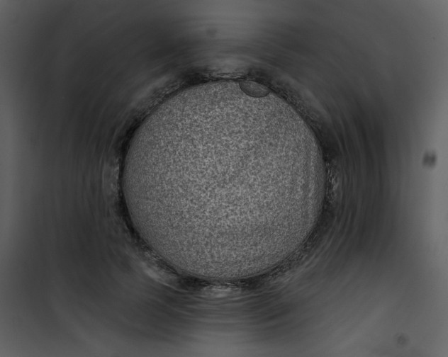 X0000101140745200807181254