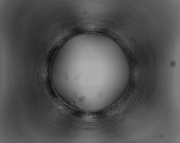 X0000101140746200807181254