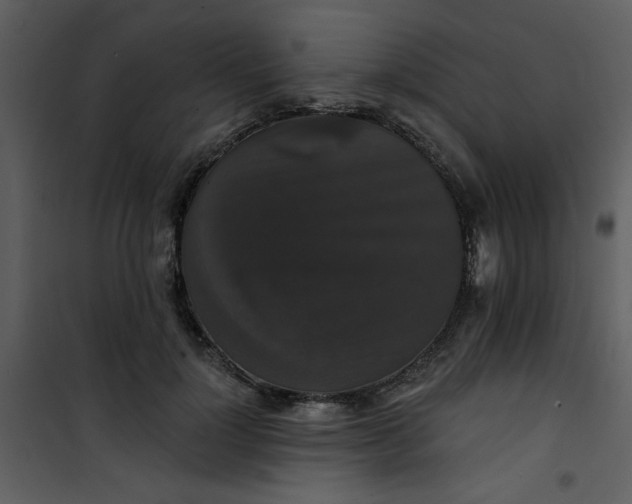 X0000101140748200807181254