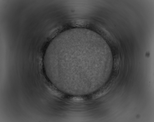 X0000101140749200807181254