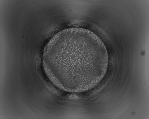 X0000101140751200807181254