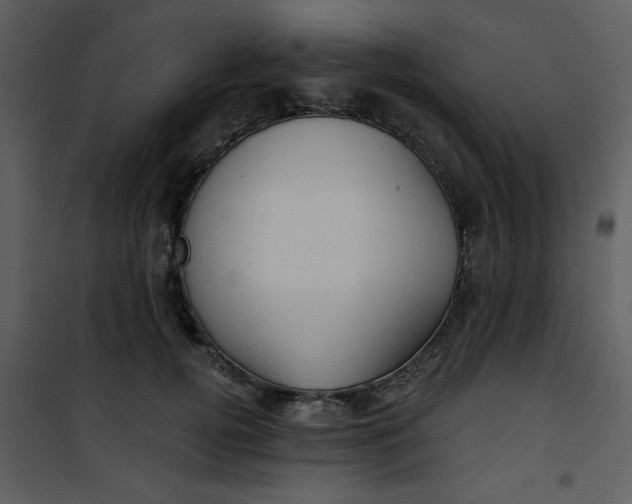 X0000101140752200807181254