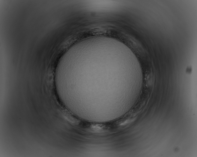 X0000101140753200807181255