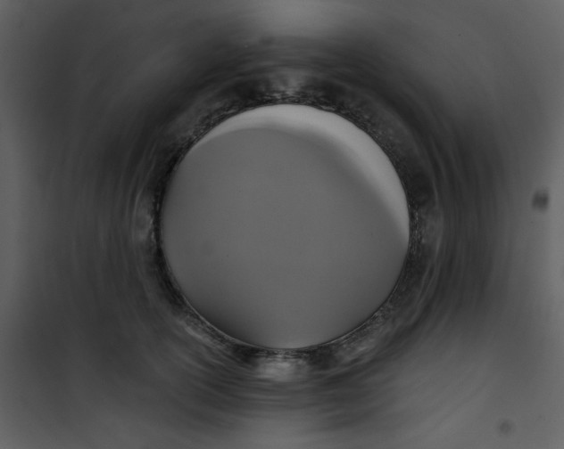 X0000101140754200807181255