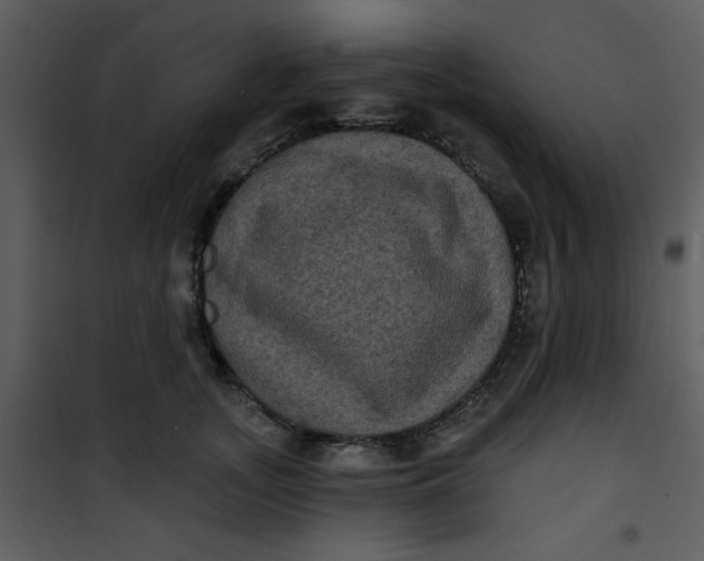 X0000101140755200807181255