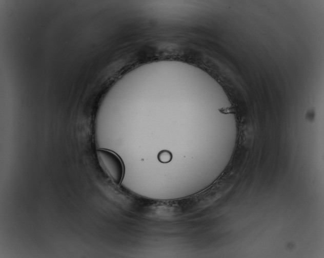 X0000101140756200807181255