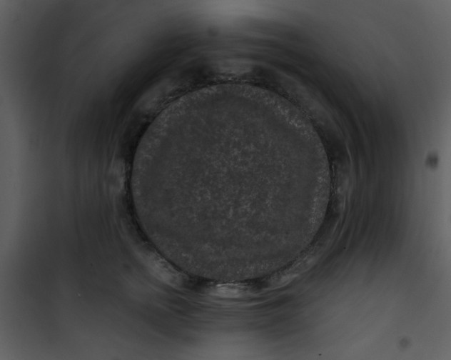 X0000101140758200807181255