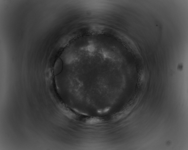 X0000101140759200807181255