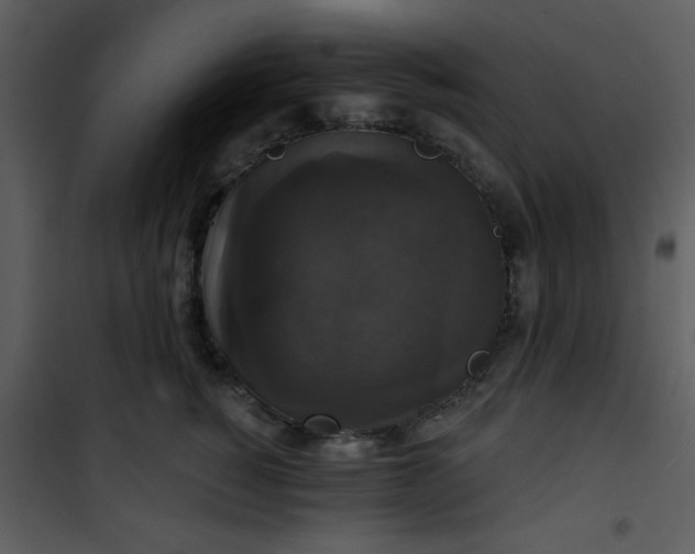 X0000101140760200807181255