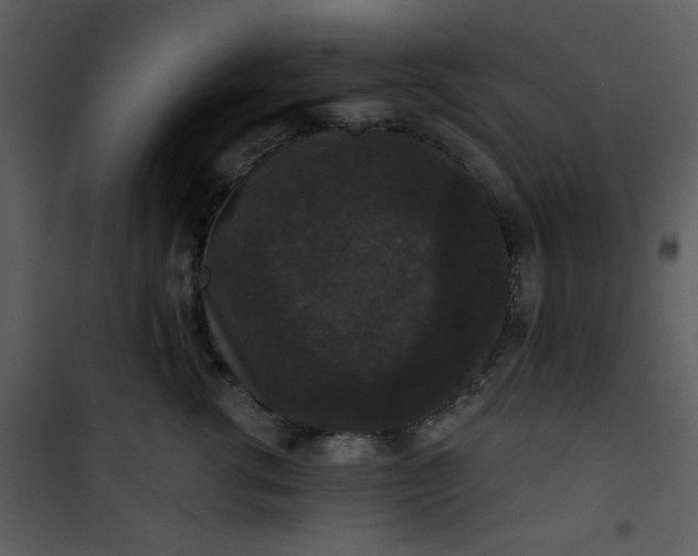 X0000101140762200807181255