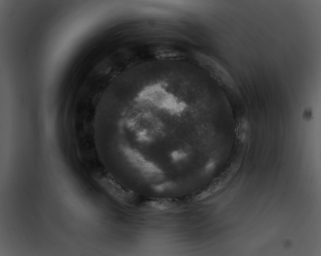 X0000101140763200807181255