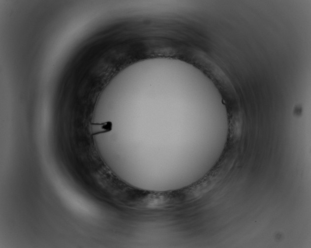 X0000101140764200807181255