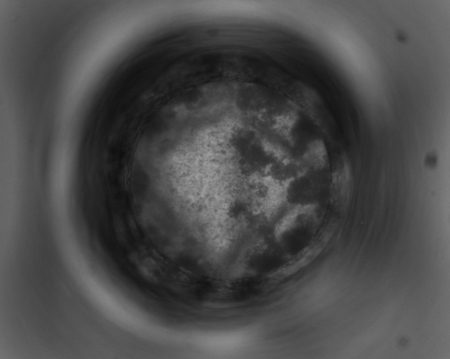 X0000101140765200807181255