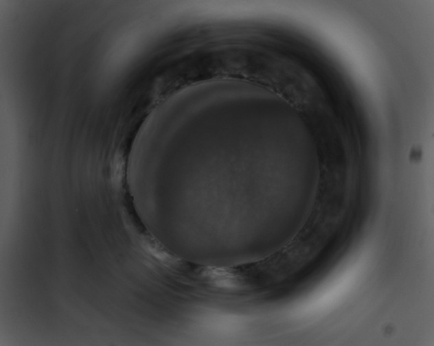 X0000101140767200807181255