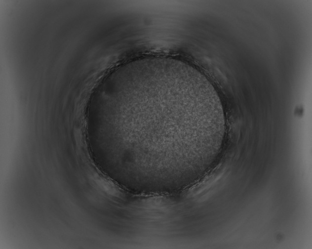 X0000101140769200807181254