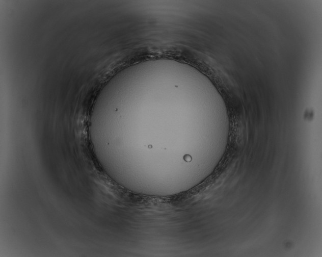 X0000101140770200807181254