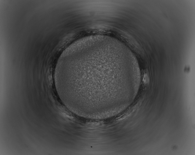 X0000101140771200807181254