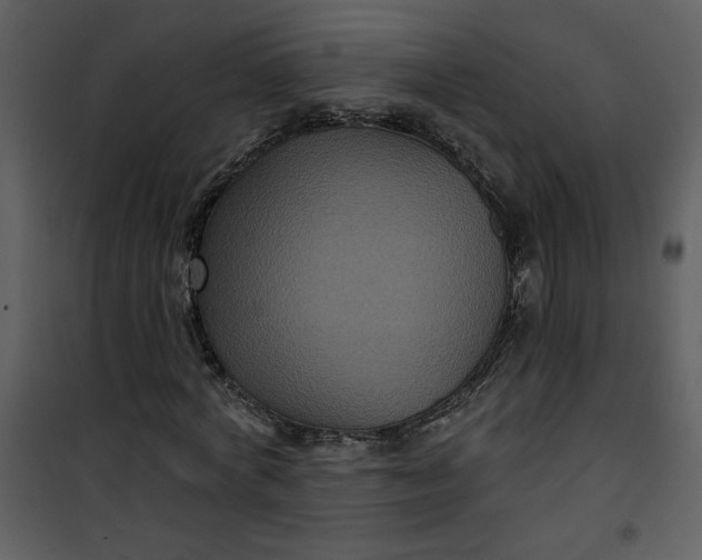 X0000101140772200807181254