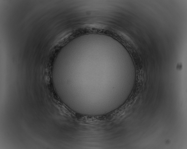 X0000101140774200807181254