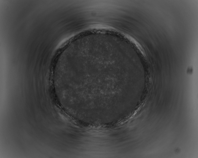 X0000101140775200807181254