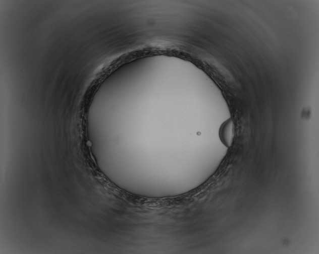 X0000101140776200807181254