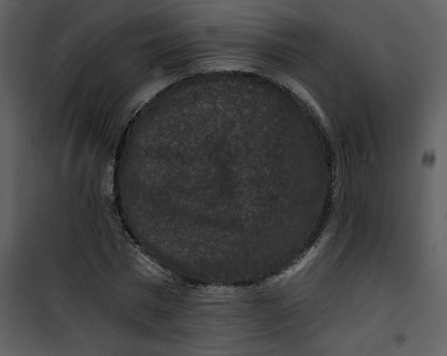 X0000101140777200807181254