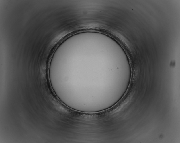 X0000101140778200807181254