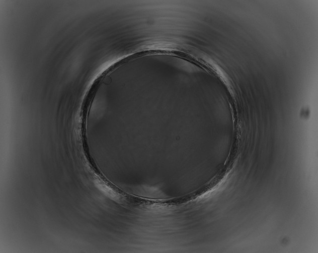 X0000101140779200807181254