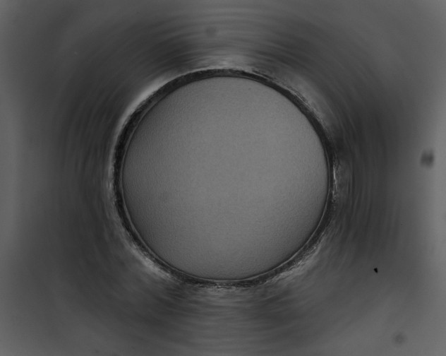 X0000101140780200807181254